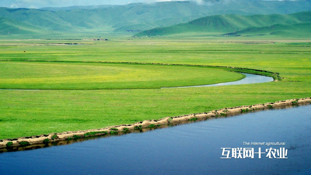 我們?nèi)绾勿B(yǎng)活世界？面向未來的智能農(nóng)業(yè)