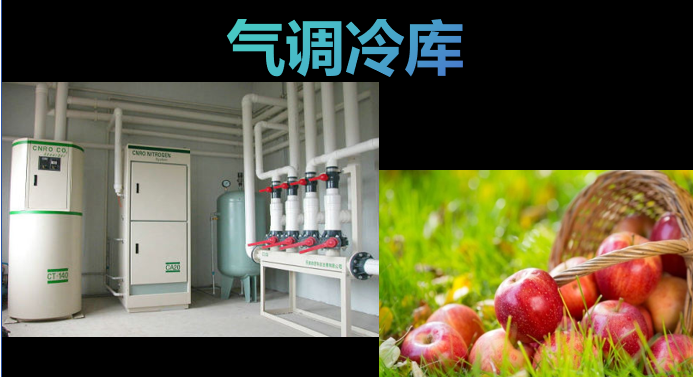 氣調(diào)冷庫氣體濃度監(jiān)